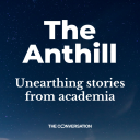 Podcast - The Anthill