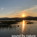 Podcast - Sound By Nature
