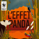 Podcast - L'Effet Panda