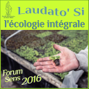 Podcast - Podcast Domini - Laudato Si : l'écologie intégrale