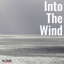 Into The Wind - Tip & Shaft