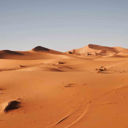 What is Western Sahara?