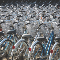 What is the global bike shortage?