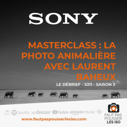 LE DÉBRIEF - S311 - Masterclass : la photo animalière avec Laurent Baheux