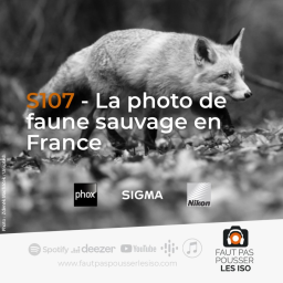 S107 - La photo de faune sauvage en France