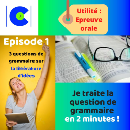 Comment répondre en 2 minutes à la question de grammaire ? Episode Littérature d'idées.
