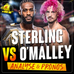 UFC 292 Aljamain Sterling vs Sean O'Malley - ANALYSE & PRONOSTICS