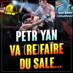 UFC 273 Petr Yan vs. Aljamain Sterling 2 - ANALYSE & PREVIEW