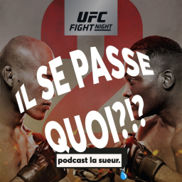 Le futur de Francis Ngannou, les cartes de l'UFC, Jacare vs. Brunson - Podcast La Sueur
