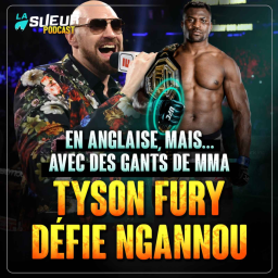 Tyson Fury veut un combat contre Francis Ngannou : avec des gants UFC 🔥