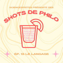 Shot de philo #13 : le langage