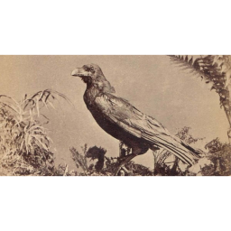 Charles Dickens, Edgar Allan Poe, & Grip the Raven