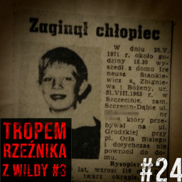 Zaginione ofiary. Rzeźnik z Wildy cz. 3 #24 | SERYJNI MORDERCY