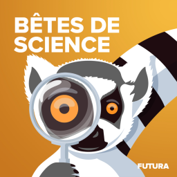 Bêtes de Science - cover