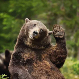 L'ours brun : bien plus futé qu'il n'y paraît