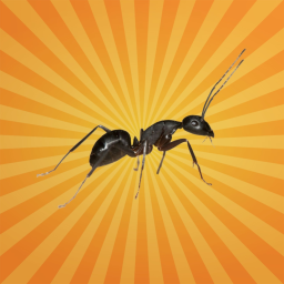 La fourmi : agricultrice, boulangère, soldate, chirurgienne...