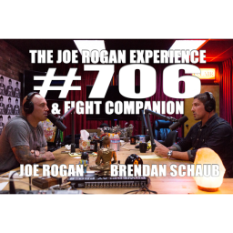 #706 - Brendan Schaub & Fight Companion ? (Part 1)