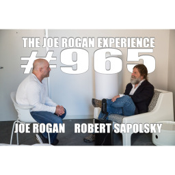 #965 - Robert Sapolsky