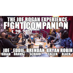 Fight Companion - January 29, 2017