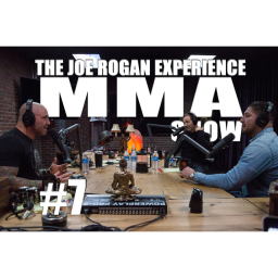 JRE MMA Show #7 with Brendan Schaub & Bryan Callen