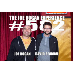 #582 - David Seaman