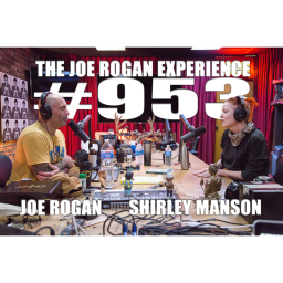 #953 - Shirley Manson