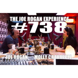 #738 - Molly Crabapple