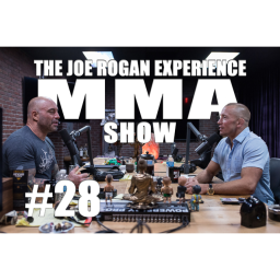 JRE MMA Show #28 with Georges St-Pierre