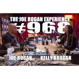 #968 - Kelly Brogan