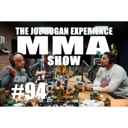 JRE MMA Show #94 with Brendan Schaub