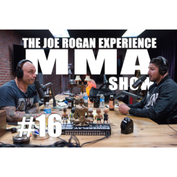 JRE MMA Show #16 with Brendan Schaub