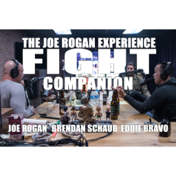 Fight Companion - November 10, 2018