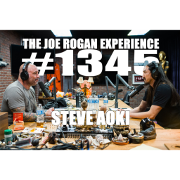 #1345 - Steve Aoki