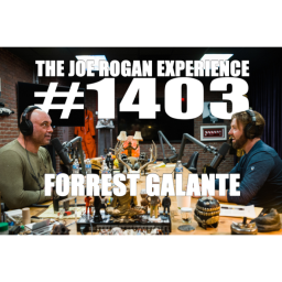 #1403 - Forrest Galante