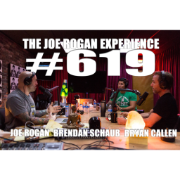 #619 - Bryan Callen & Brendan Schaub