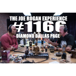 #1166 - Diamond Dallas Page