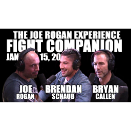 Fight Companion - January 15, 2017