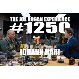#1250 - Johann Hari