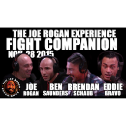 Fight Companion - Nov. 28, 2015