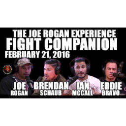 Fight Companion - February 21, 2016