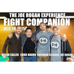 Fight Companion - Dec. 16, 2014