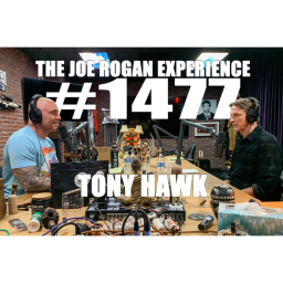 #1477 - Tony Hawk