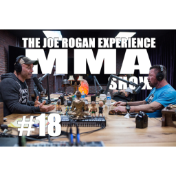 JRE MMA Show #18 with Pat Miletich
