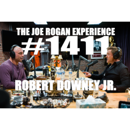 #1411 - Robert Downey Jr.
