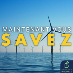 Énergies renouvelables : la France rattrapera-t-elle son retard ?