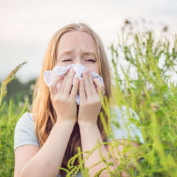 What is hay fever?