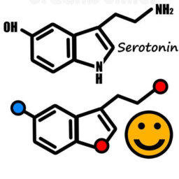 What is serotonin?