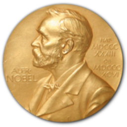 Why are Nobel Prizes so important?