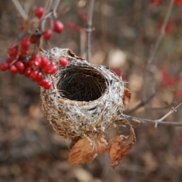 [RERUN] What is empty nest syndrome?