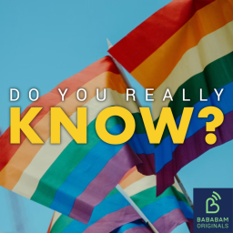 Where does the LGBT rainbow flag come from ?